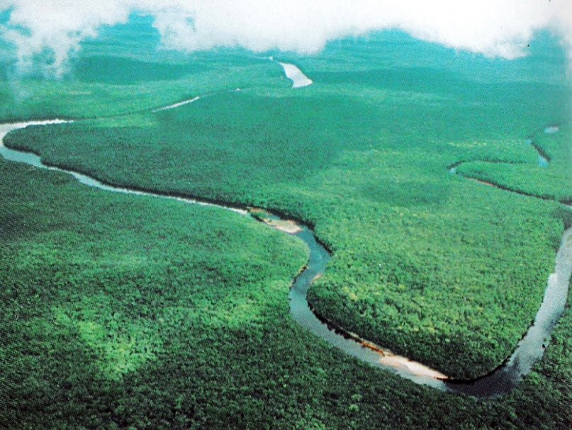 Delta del Orinoco, Delta Amacuro State, Venezuela
